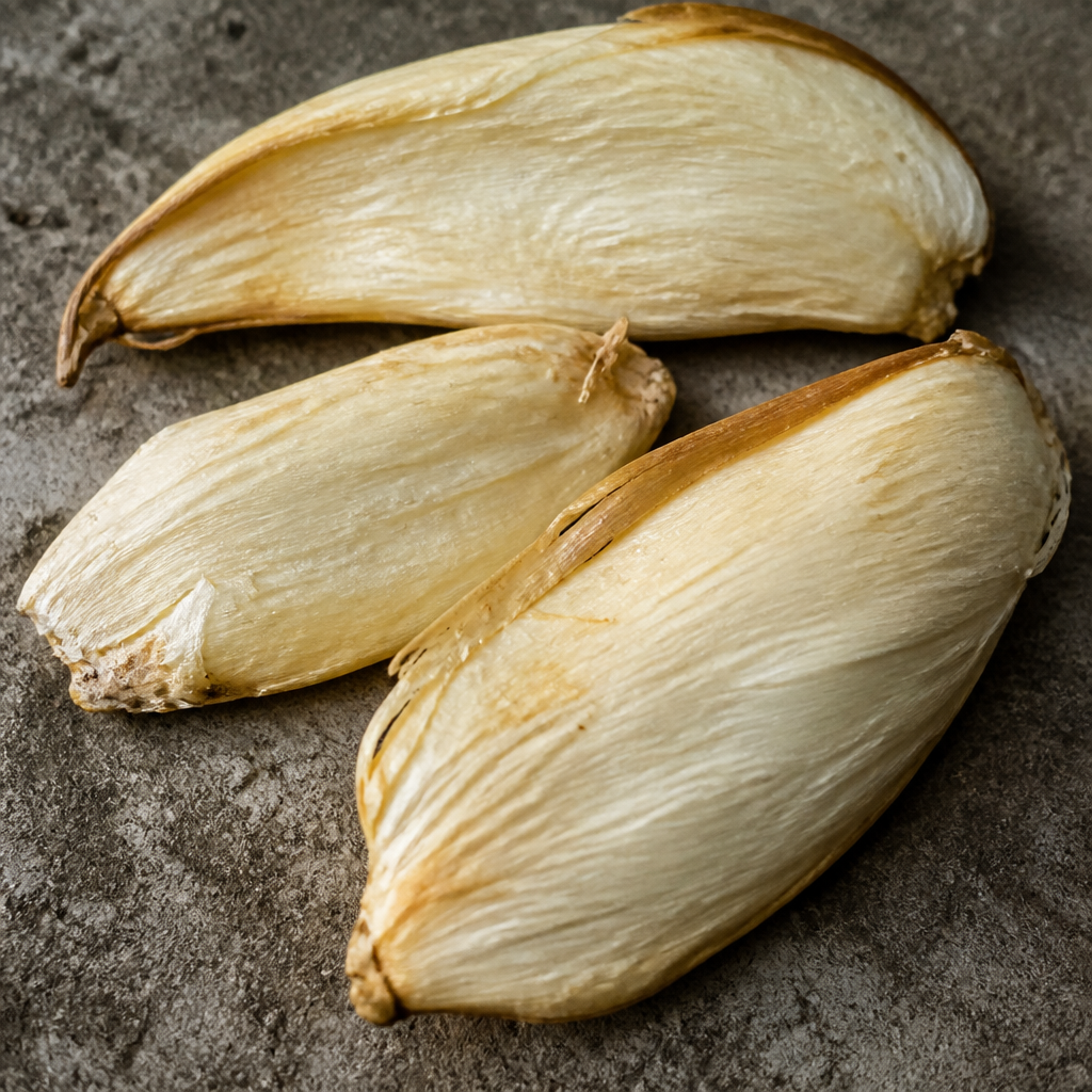 Fruit Seeds for Planting